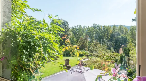 1770285756-20A) tuin (1)